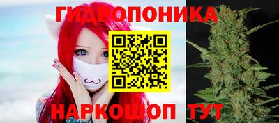 каннабис Будённовск