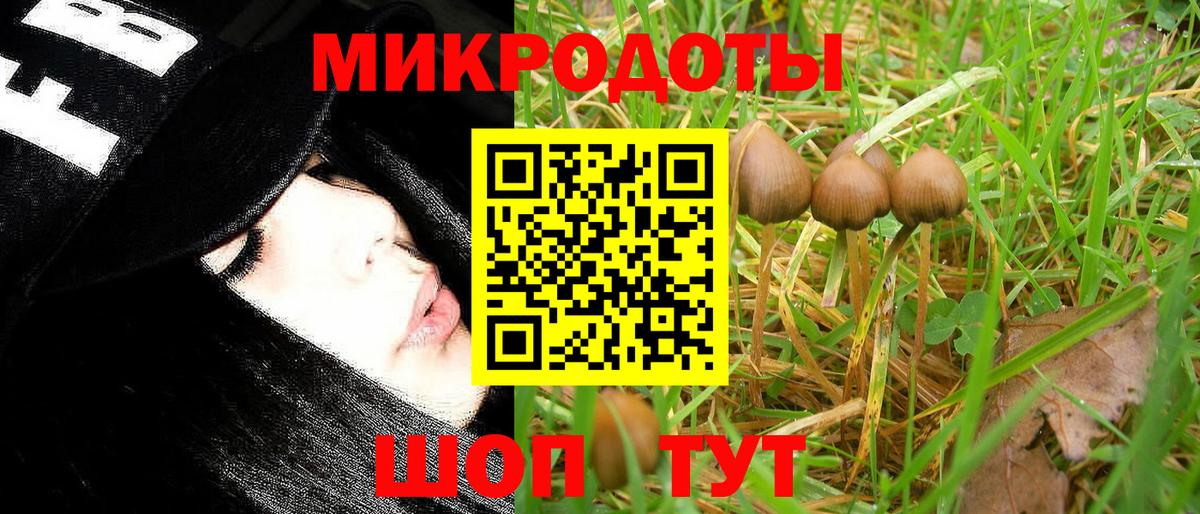 Соликамск  Галлюциногенные грибы ЛСД  Псилоцибиновые грибы ЛСД  Вход с VPN 